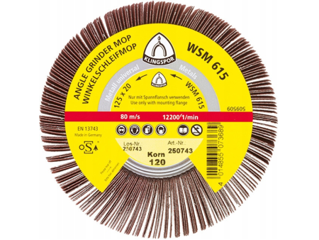 Ściernica listkowa nasadzana KLINGSPOR 125X20 M14 WSM615