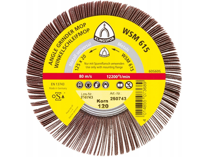 Ściernica listkowa nasadzana KLINGSPOR 125X20 M14 WSM615