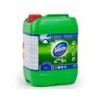 DOMESTOS 5L